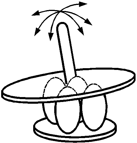4. Классификация