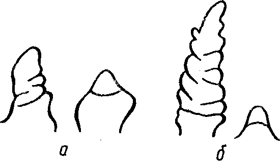 рис. 4