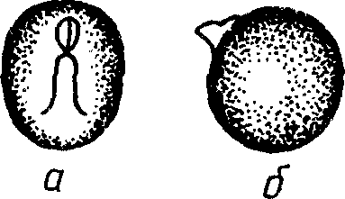 рис. 10