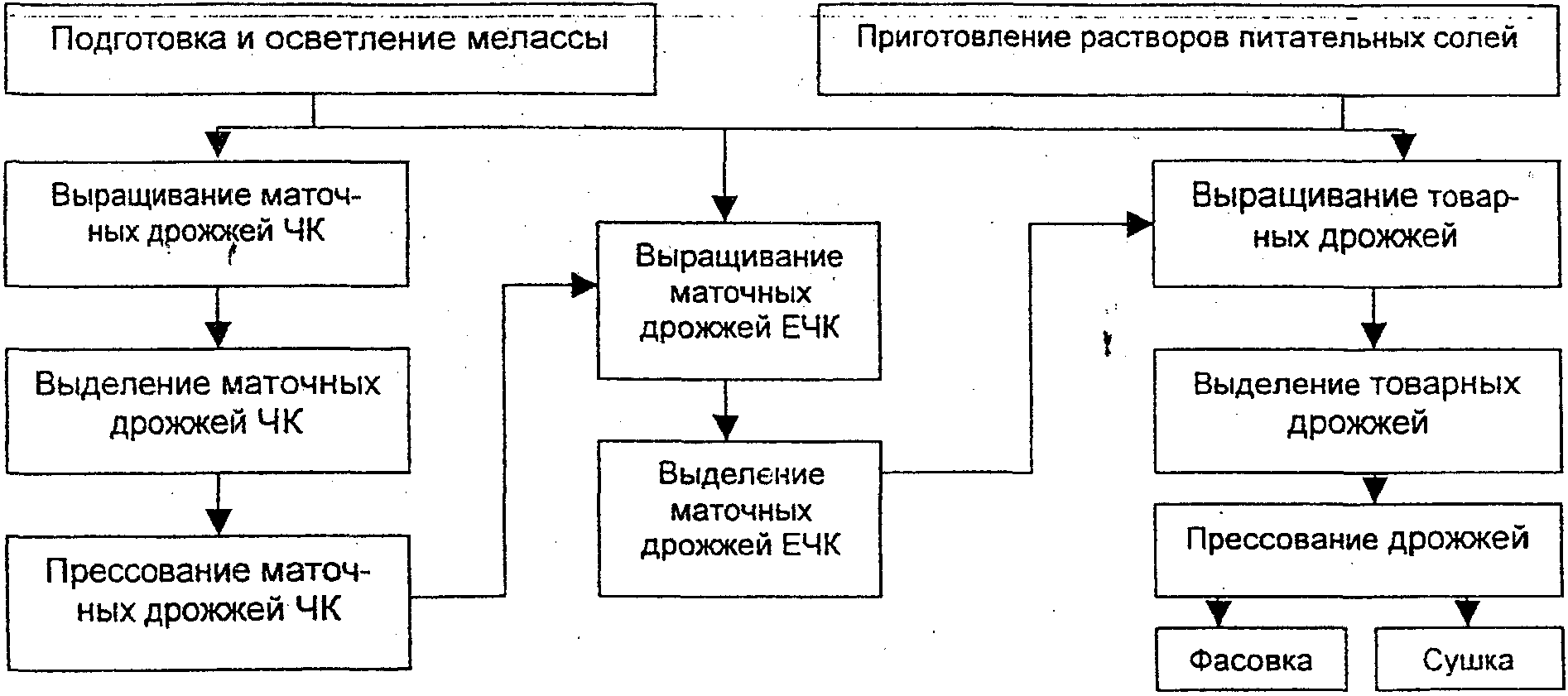 рис. 2