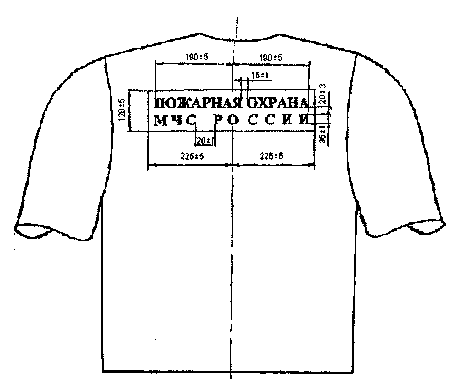 рис. 1