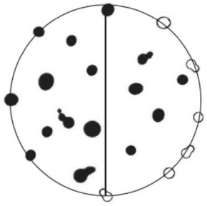7 Порядок проведения определения формы частиц