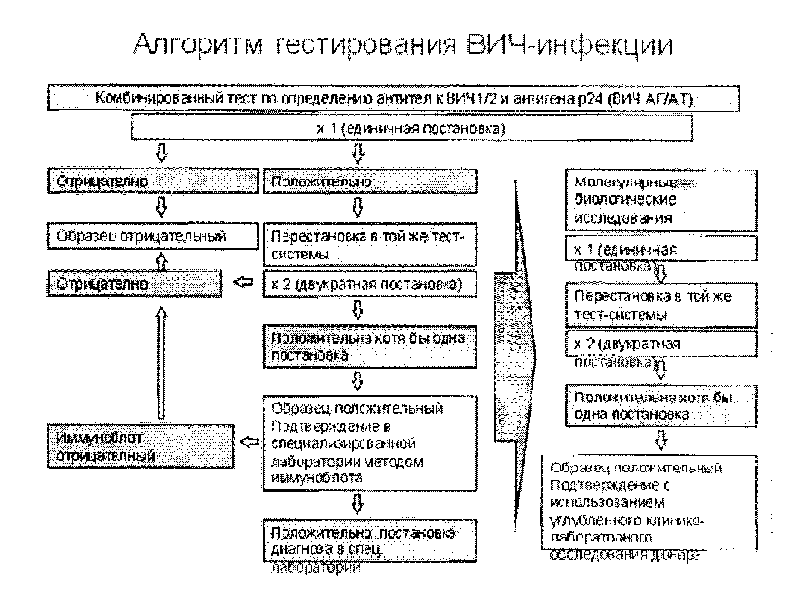 3.1. Иммунохимический анализ