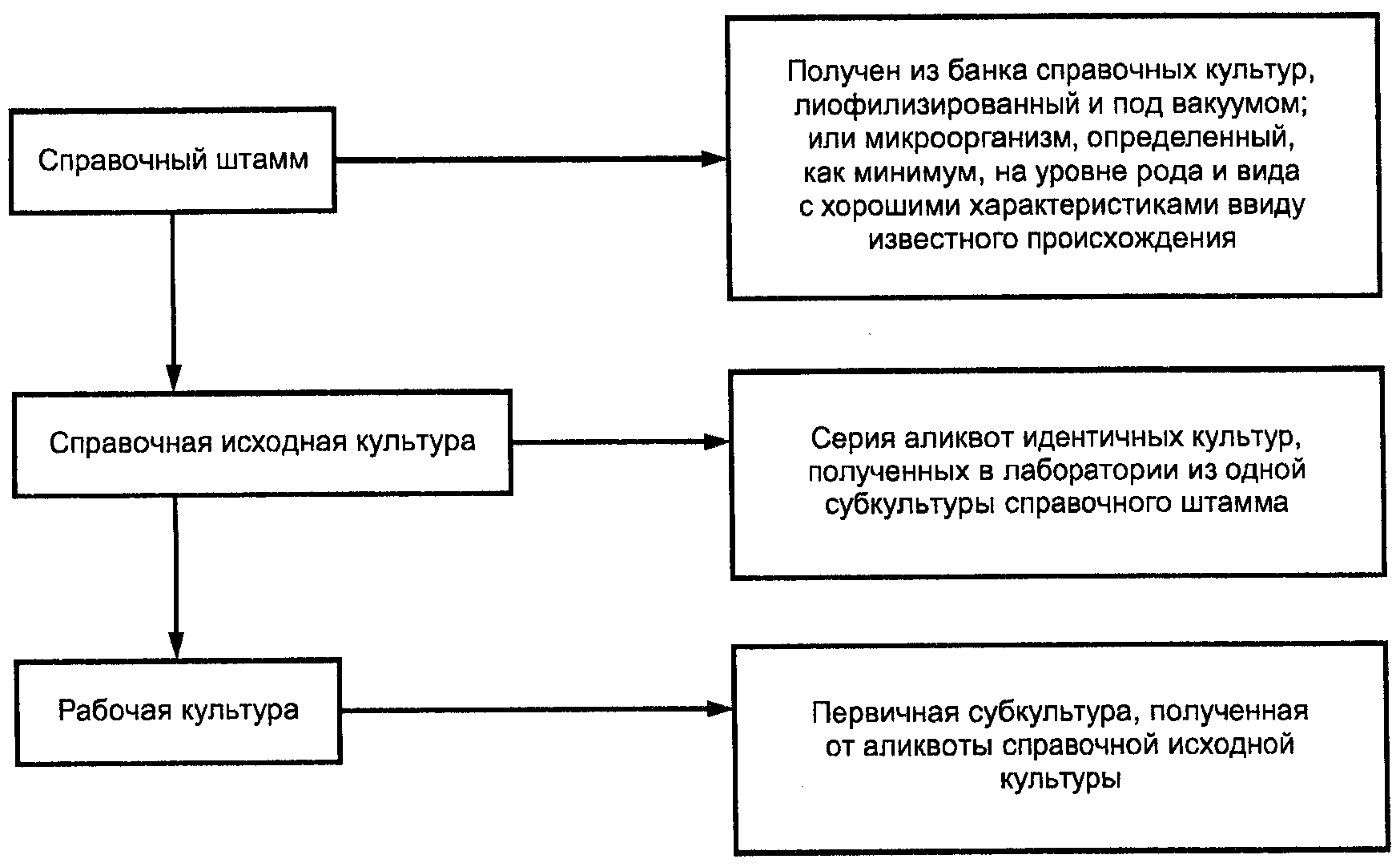 5. Контроль качества конечного продукта