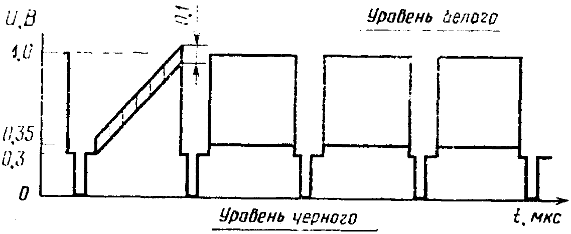 рис. 24