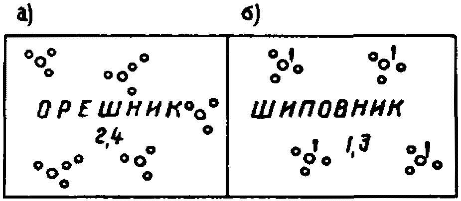 Растительность