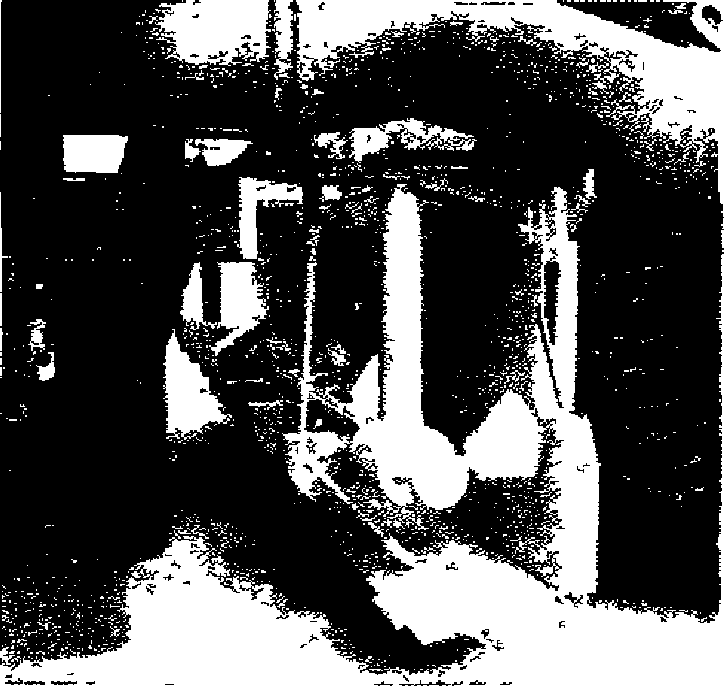 рис. 11