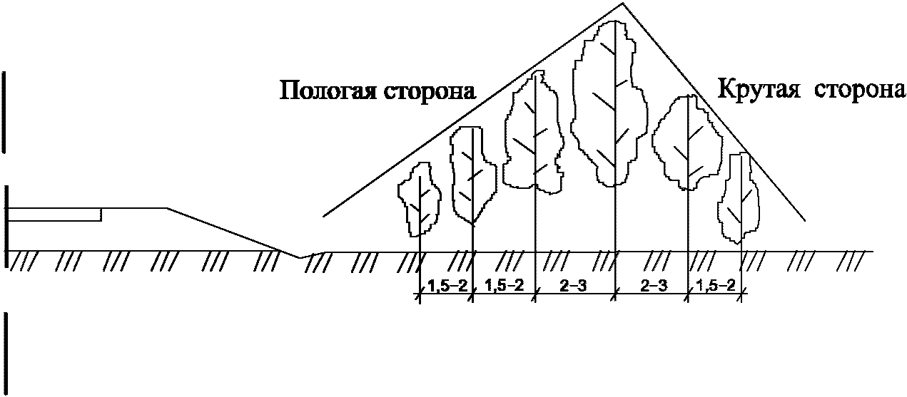 7.5 Шумо-, газо-, пылезащитное озеленение